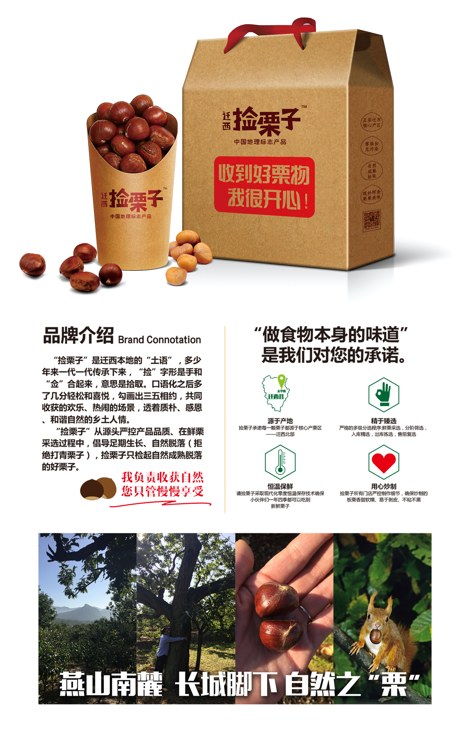 栗子/品牌包装设计--FoodTalks食品案例库