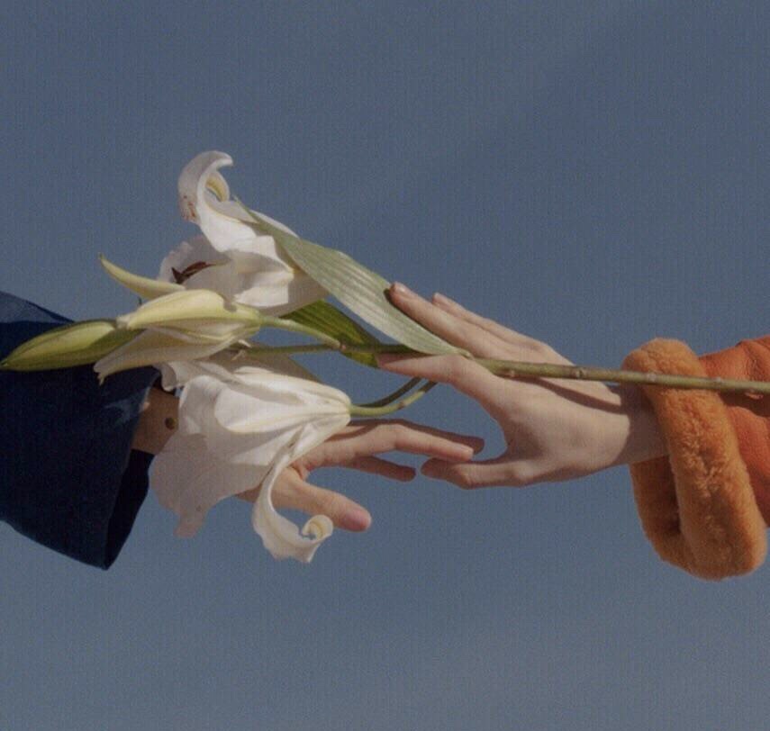 张婉莹 