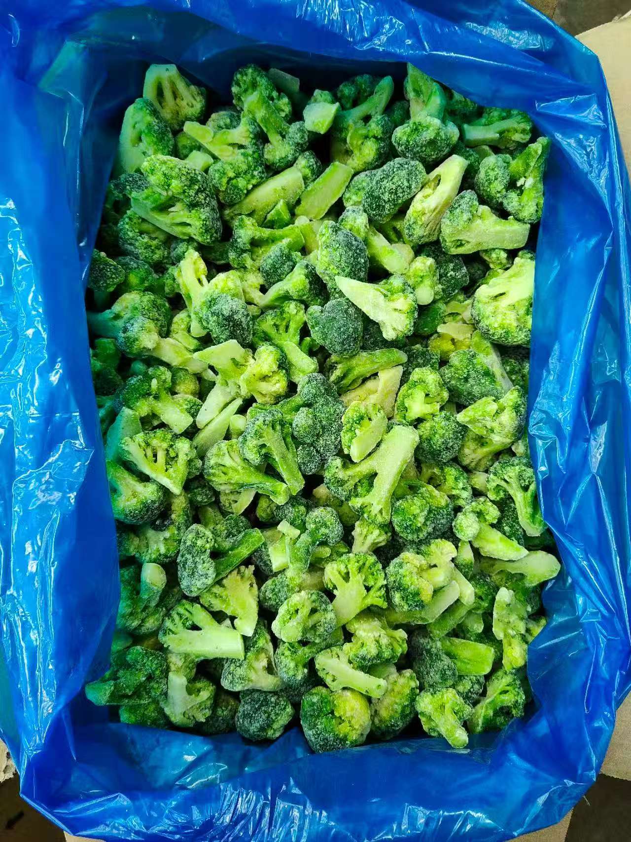 樊学艳_山东果海进出口有限公司_销售经理-FoodTalks个人主页