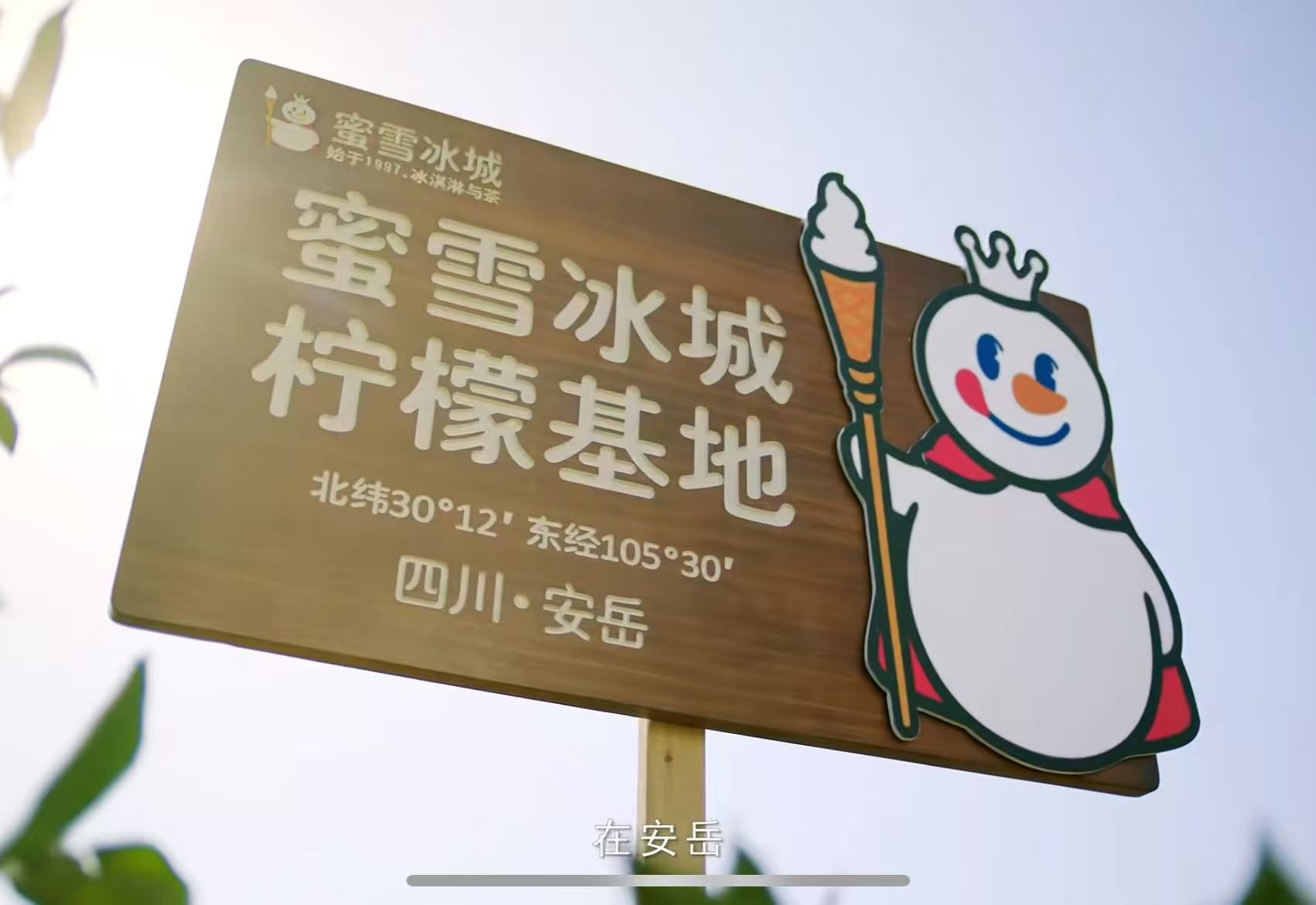 总投资1.5亿元！蜜雪冰城安岳柠檬供应链中心建设项目正式签约