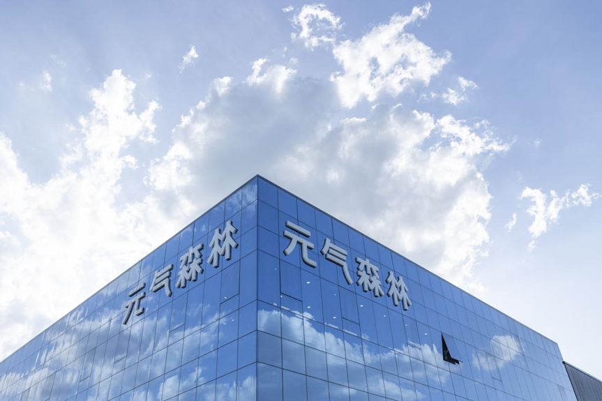 Chiforest office