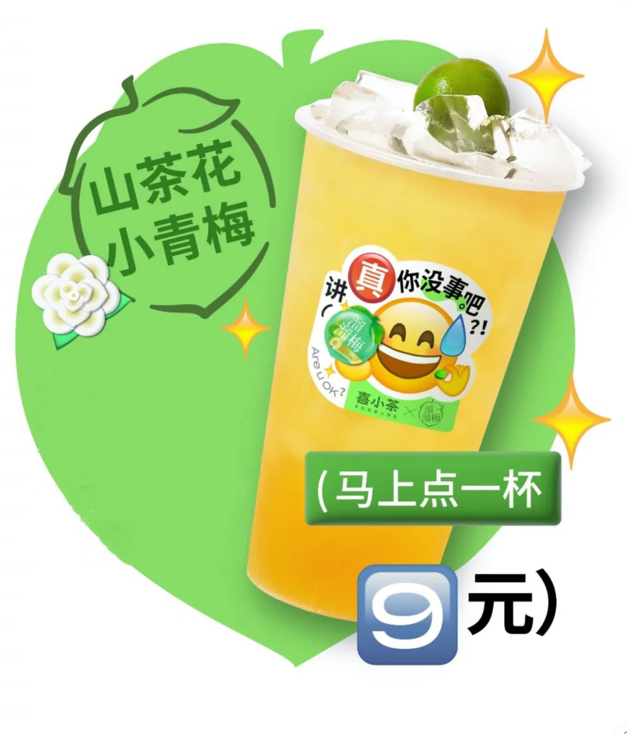 山茶花小青梅