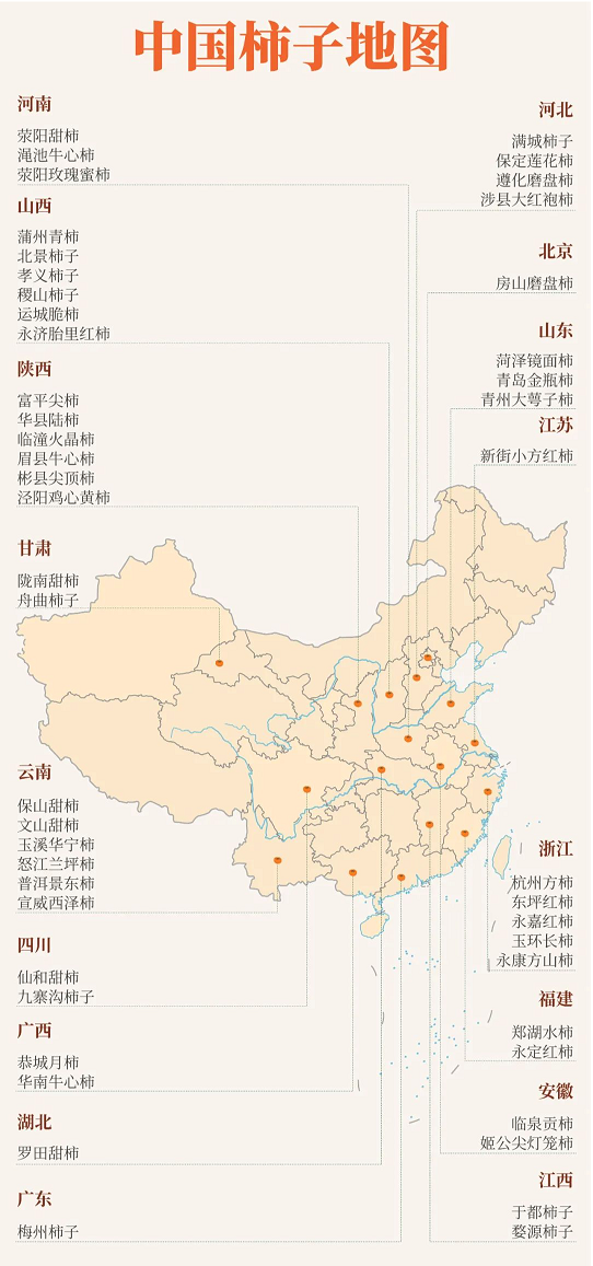 中国柿子地图
