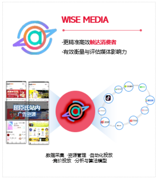 WISE MEDIA