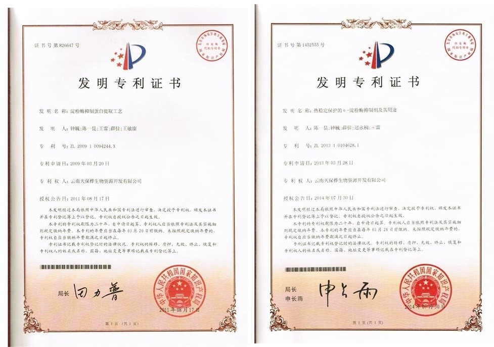 MYT6FF8D4D09Bmyt5B685593CCC37