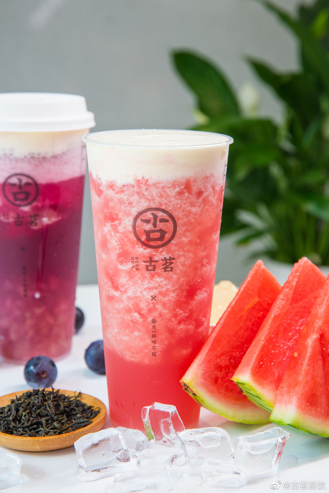 古茗的鲜果茶