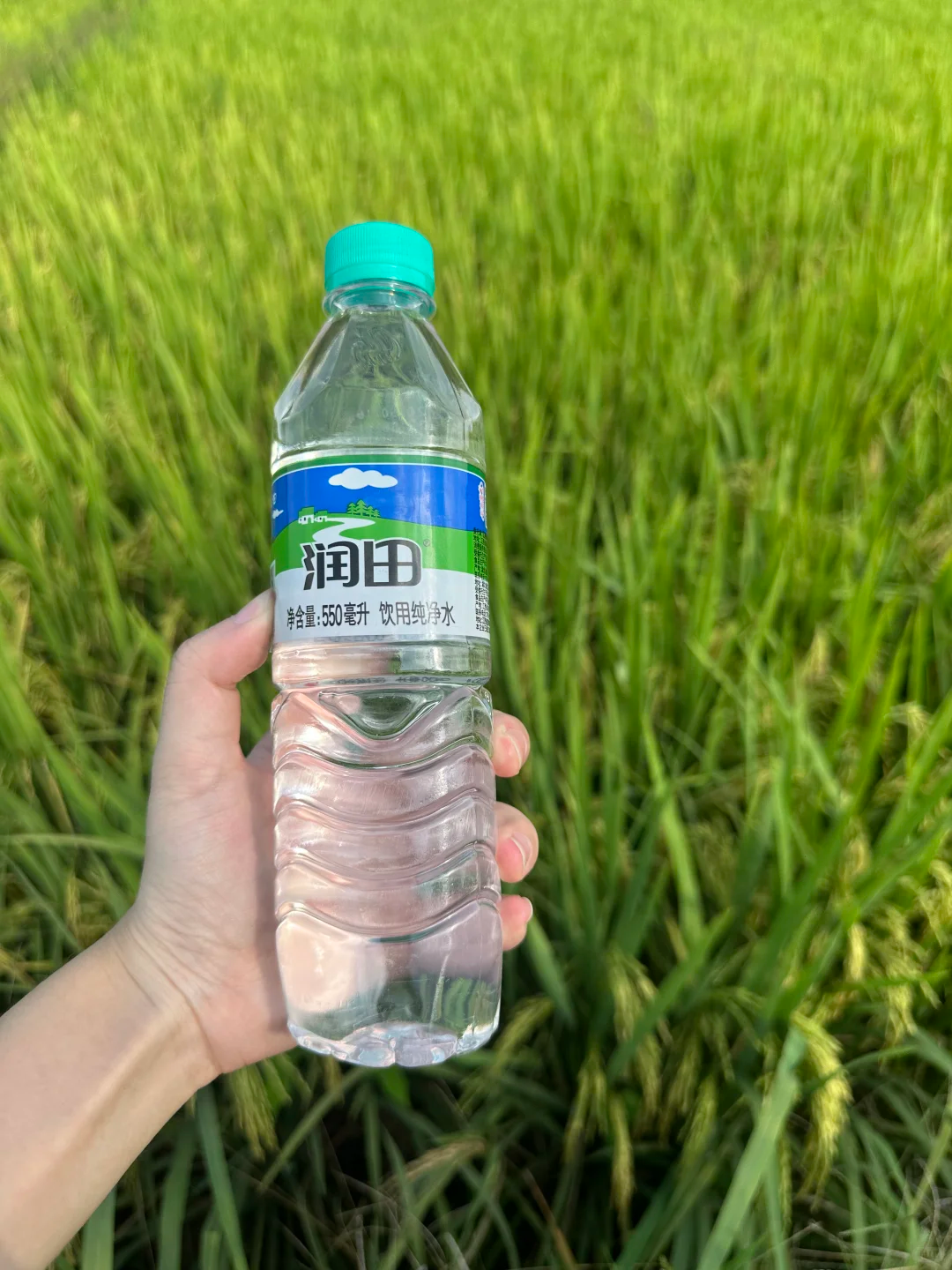 为了卖好“润田”水,ST联合加快剥离旅游营销业务-FoodTalks全球食品资讯