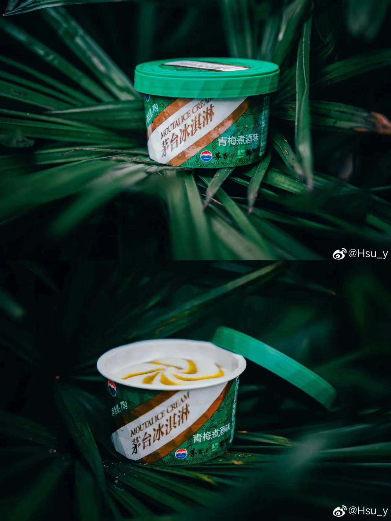 康师傅 青梅绿茶 ｜KSF Green Plum Tea 500ml - HappyGo Asian Market