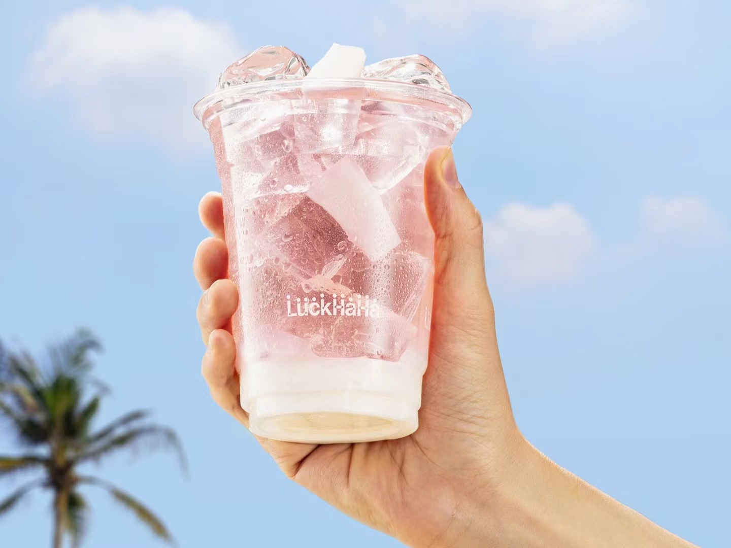 椰子水连锁品牌「好运椰」连获三轮融资!-FoodTalks全球食品资讯