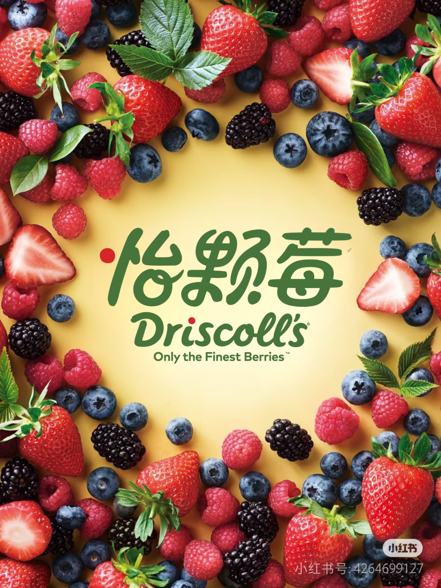 佳沛前高管史天骏加入怡颗莓 成为首任“全球首席营销官”-FoodTalks全球食品资讯
