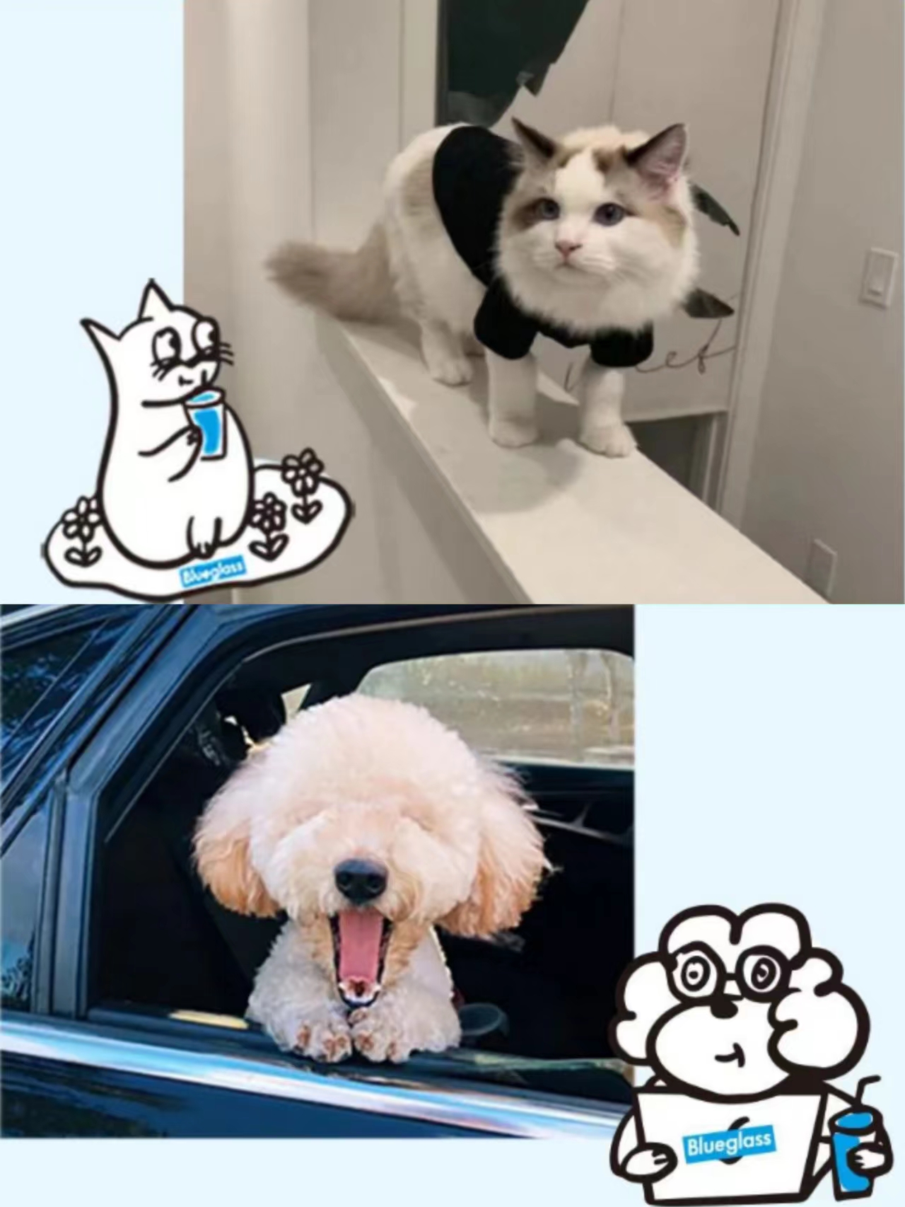 闪闪&球球