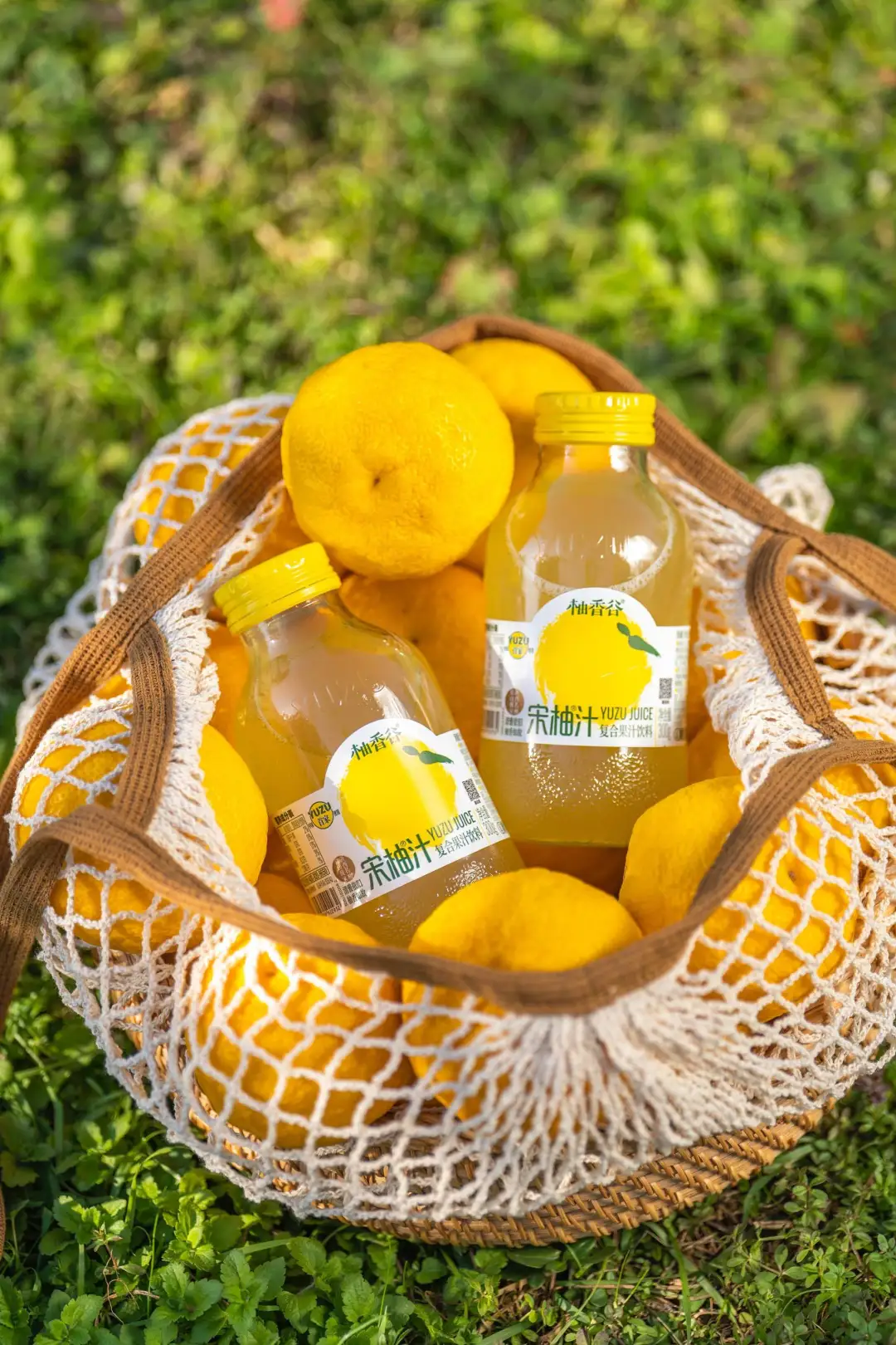 Yuzu Flavor: The Next 