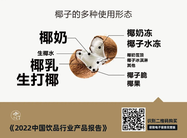 椰子的多种使用形态