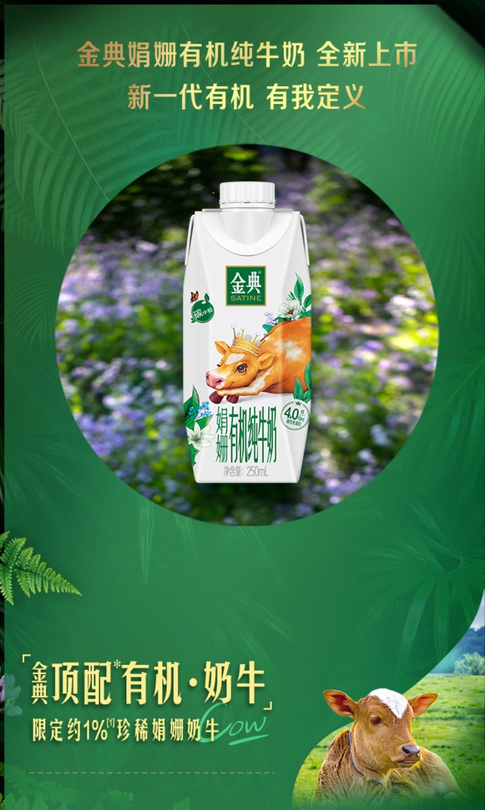 「金典」推出新品:娟姗有机纯牛奶,每100ml含4g乳蛋白-foodtalks全球