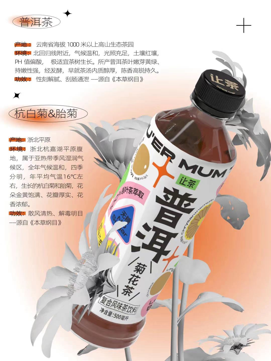 让茶·普洱菊花茶