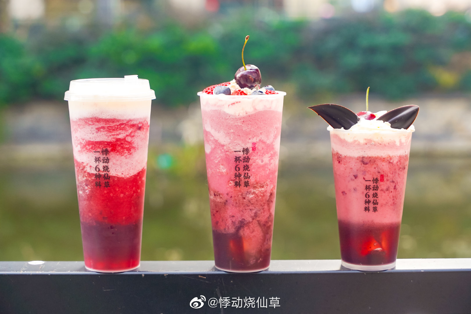 悸动烧仙草产品