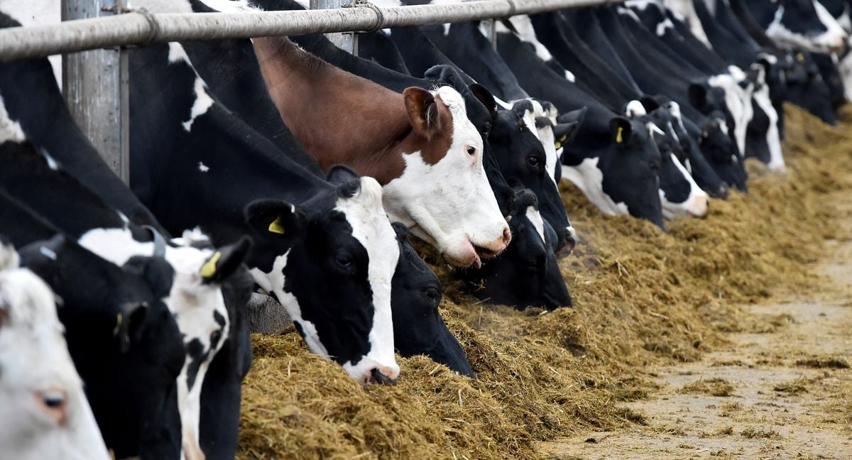 danone-plans-to-reduce-methane-30-by-2030
