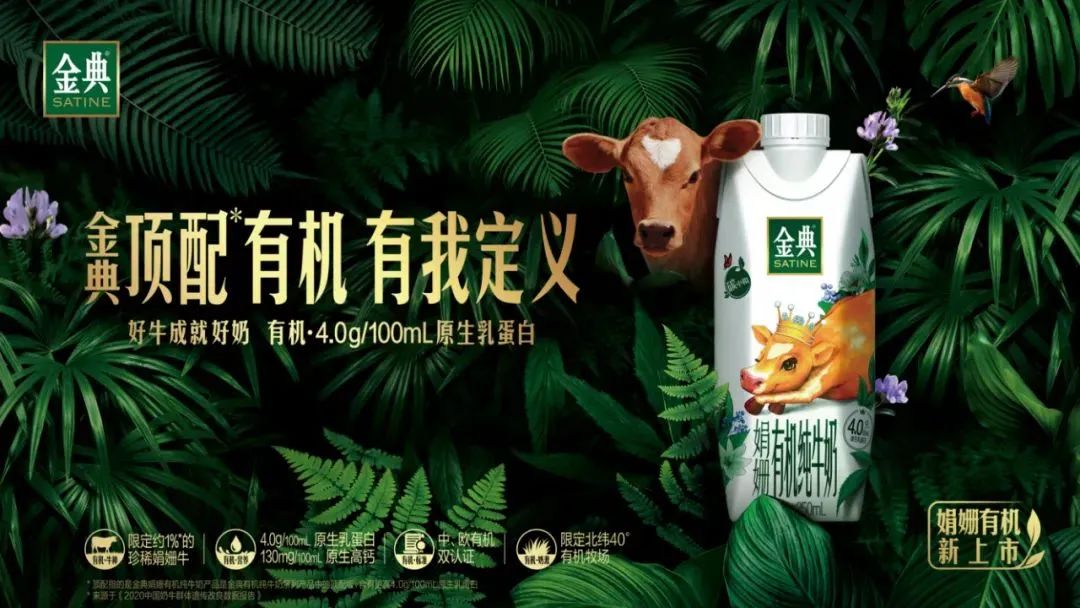金典