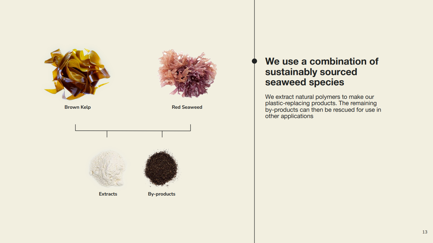 Seaweed as An Alluring Plastic Alternative for Packaging | FoodTalks