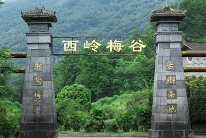 西岭梅谷