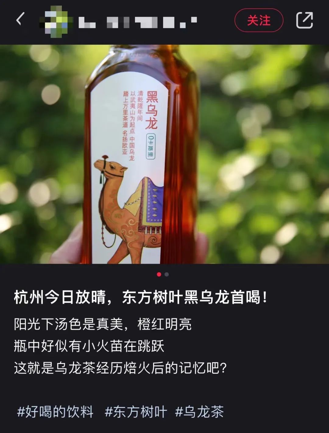 ”好喝的饮料“话题下的东方树叶新品