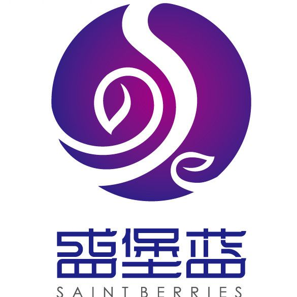 盛堡蓝Logo