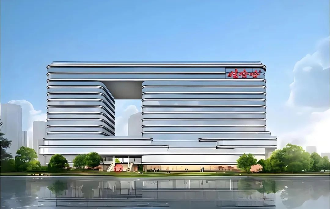 杜建英的娃哈哈往事