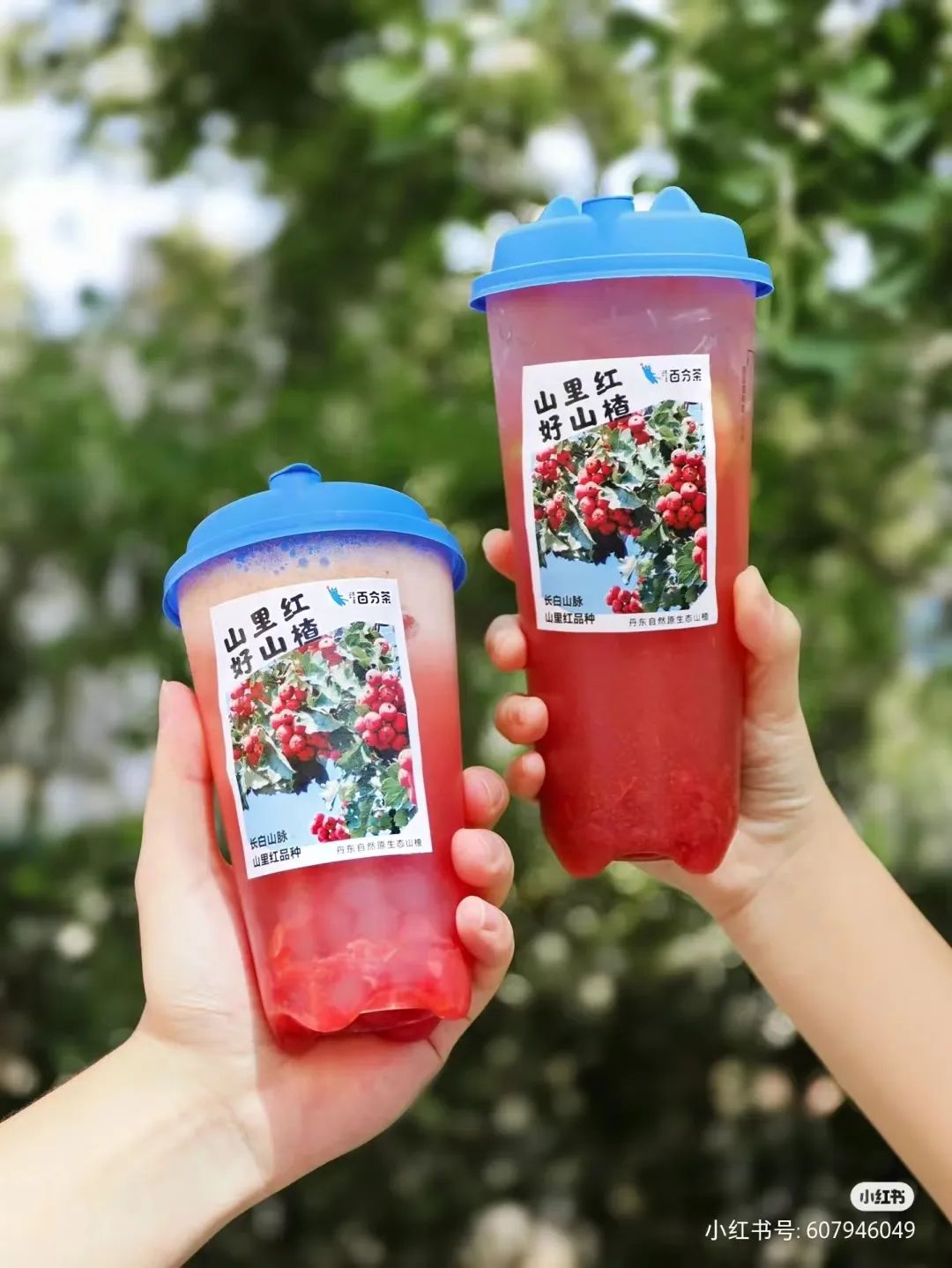 百分茶新品山里红山楂