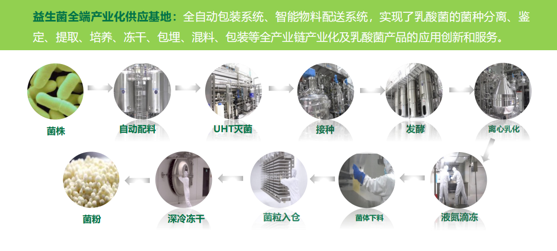 河北一然生物提供益生菌粉剂、颗粒、片剂、胶囊等ODM代工服务 - FoodTalks食品供需平台