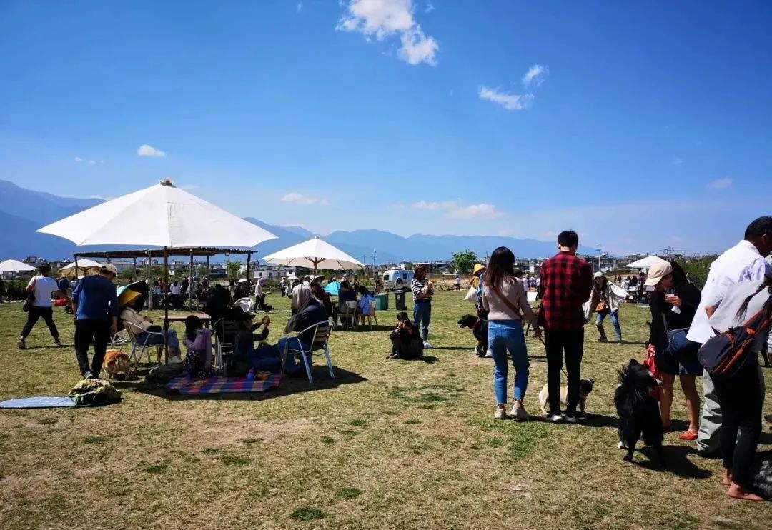 来自大理的「柴米多」如何开拓自己的商业版图?