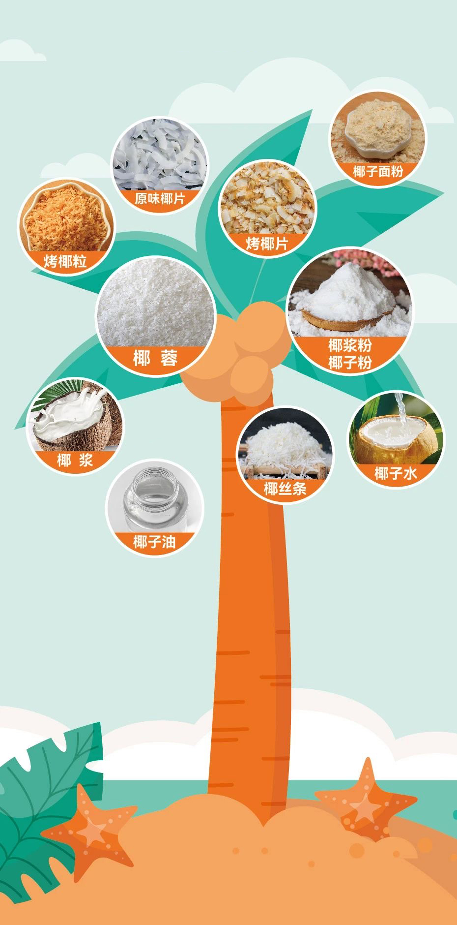 上海升月国际贸易有限公司提供椰蓉、椰子油、椰子片、椰子块等椰子系列产品- FoodTalks食品供需平台