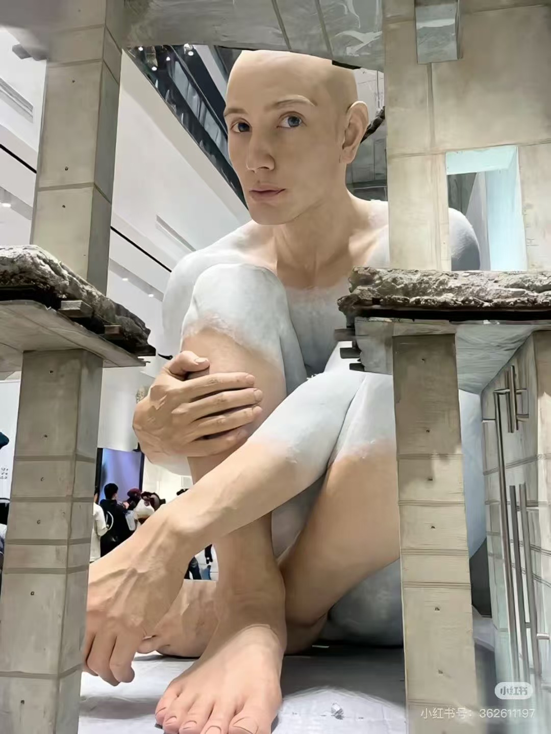 巨人展