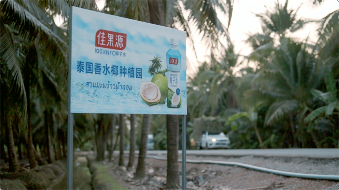 佳果源香水椰种植园