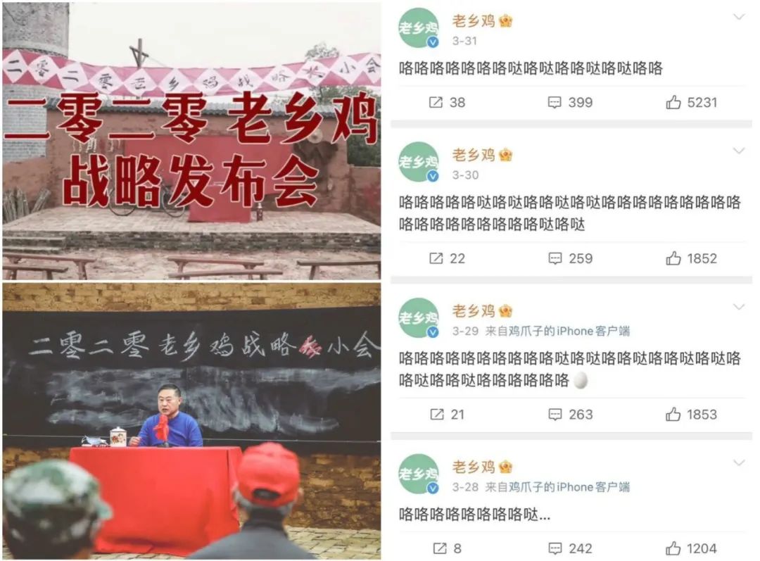 老乡鸡，你是懂流量的！-FoodTalks全球食品资讯