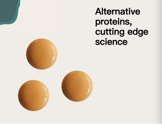 Float Foods – OnlyEg Yolk