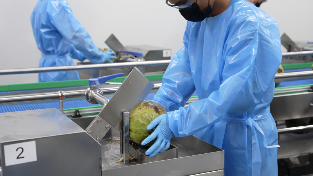 佳果源椰子水取水