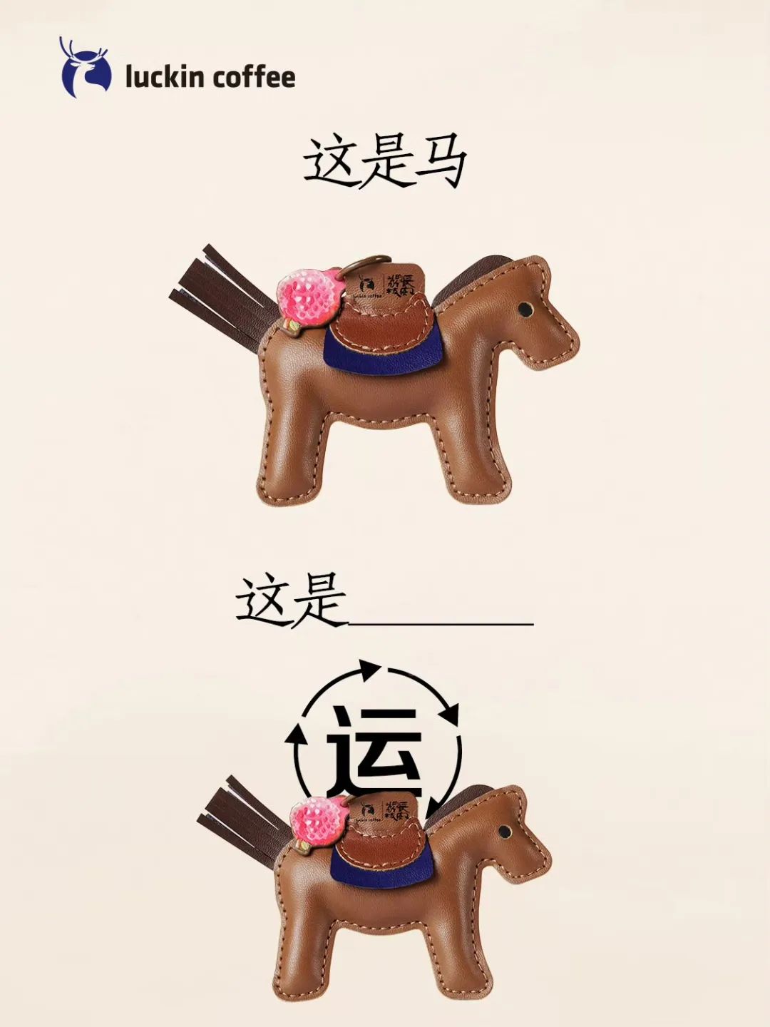 瑞幸转运小马
