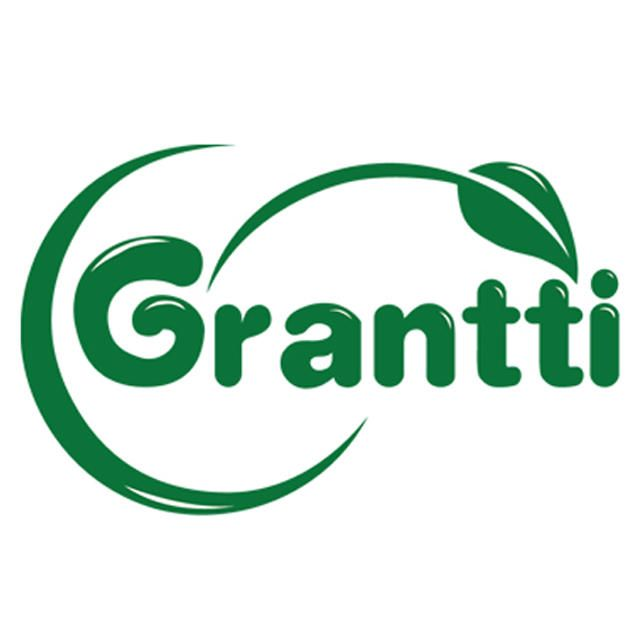 甘蒂国际Logo