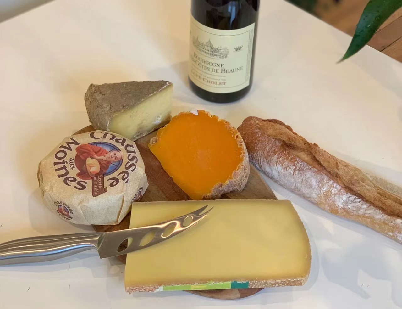 常见的法国奶酪