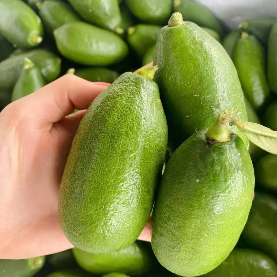 香水柠檬