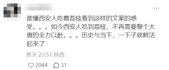 小红书评价