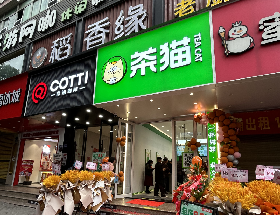 最低6.6元/杯,库迪旗下“茶猫”,会掀起新价格战吗?-FoodTalks全球食品资讯