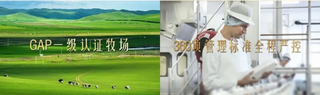 每日鲜语GAP一级认证牧场&工厂