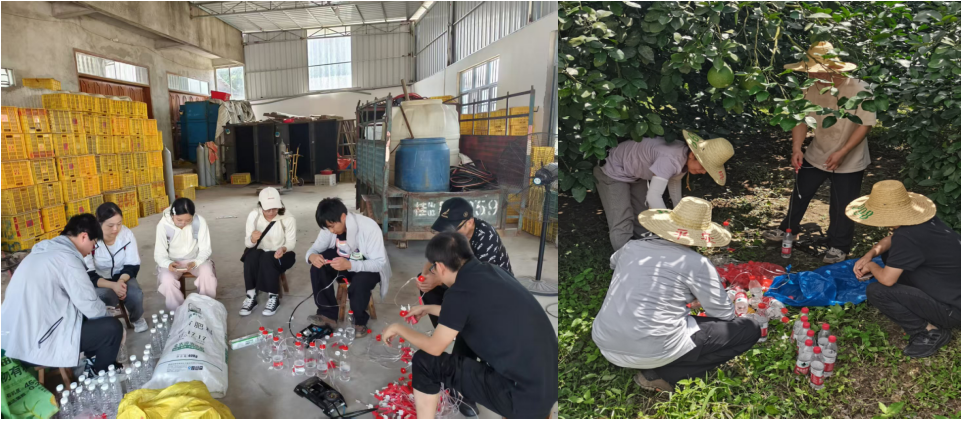 一旦感染就可能砍除整片山林,我们花了八年终于攻克这种柑橘“绝症”|叶健-FoodTalks全球食品资讯