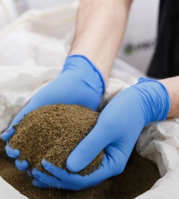 Protix的昆虫蛋白