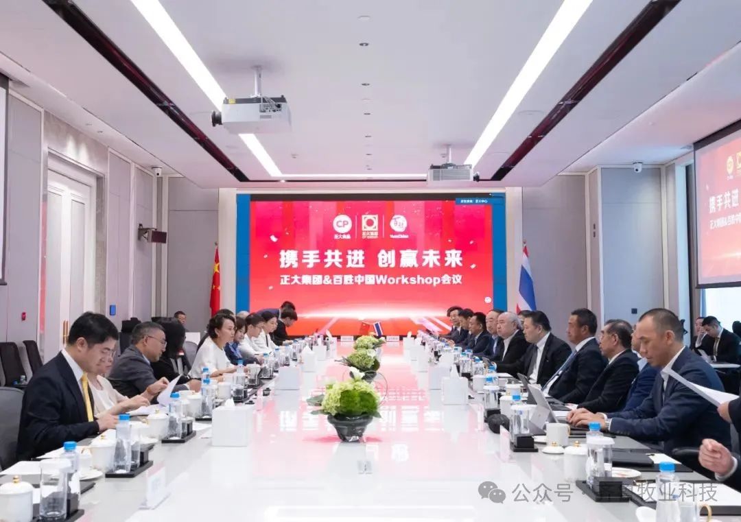 签约仪式