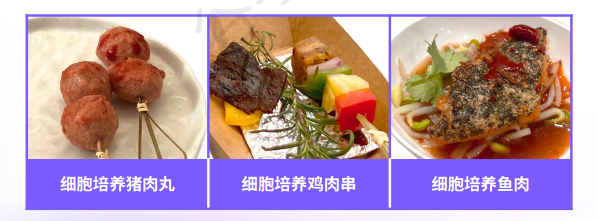 [Forethought] Alternative Proteins for the Global Market | FoodTalks