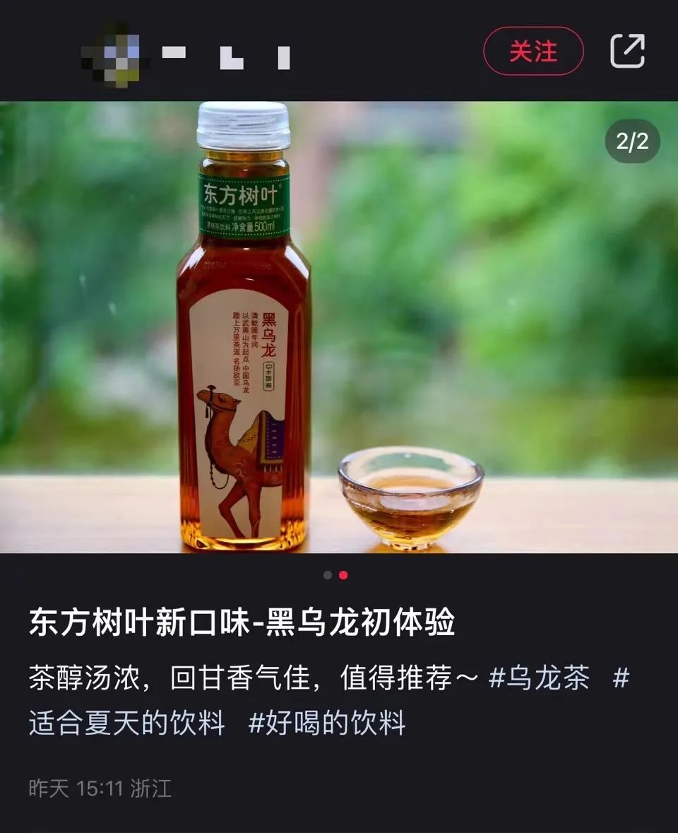 东方树叶“尝鲜官”分享体验