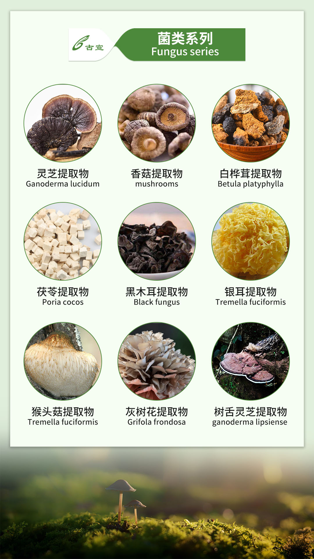 宣城百草药业提供药食同源提取物原料,保健食品原料提取物等配料