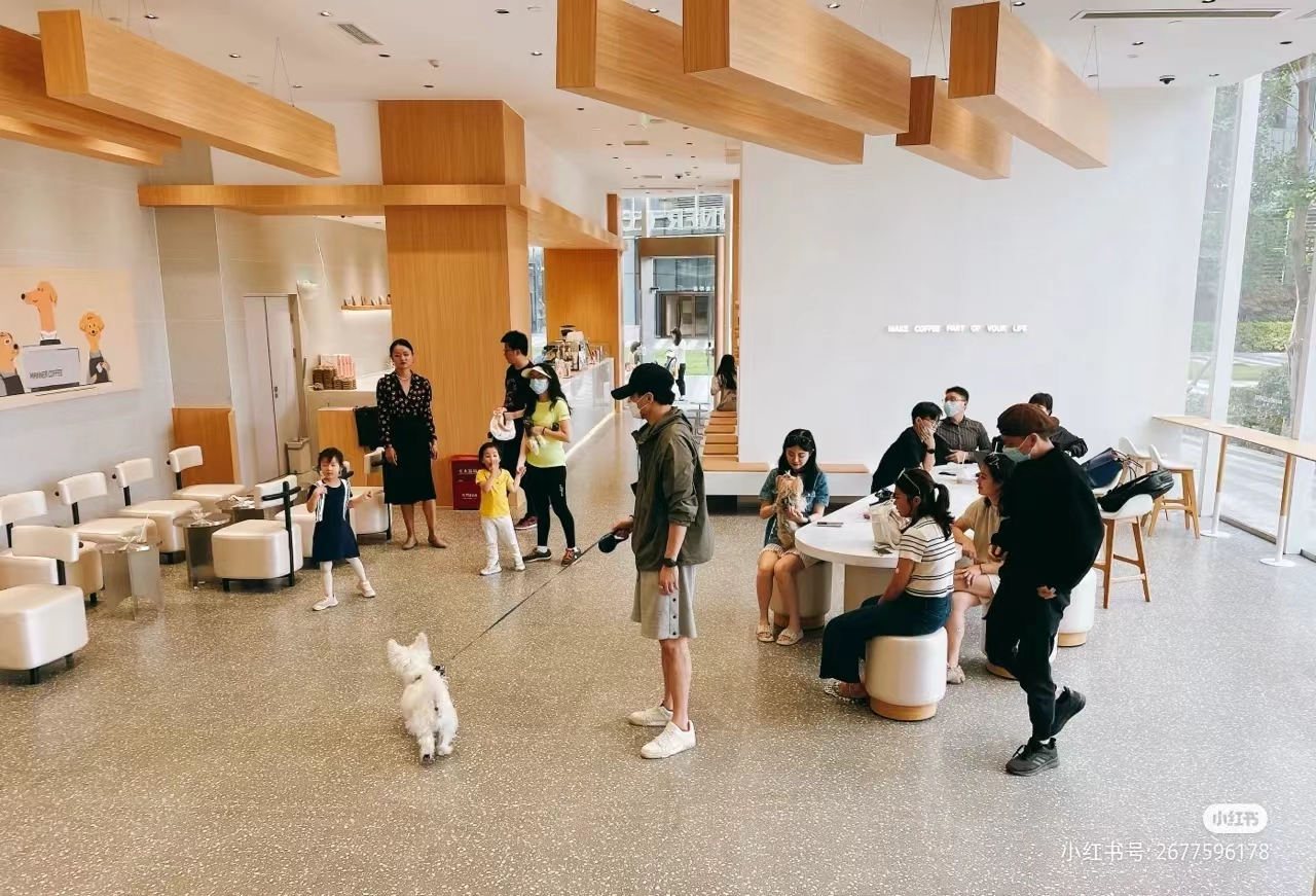 为什么上海咖啡馆门口，最近流行放“水碗”？-FoodTalks